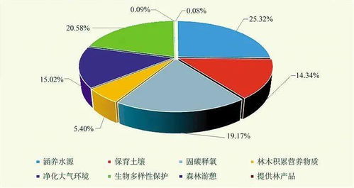 網(wǎng)絡技術服務 數(shù)字化轉型的引擎